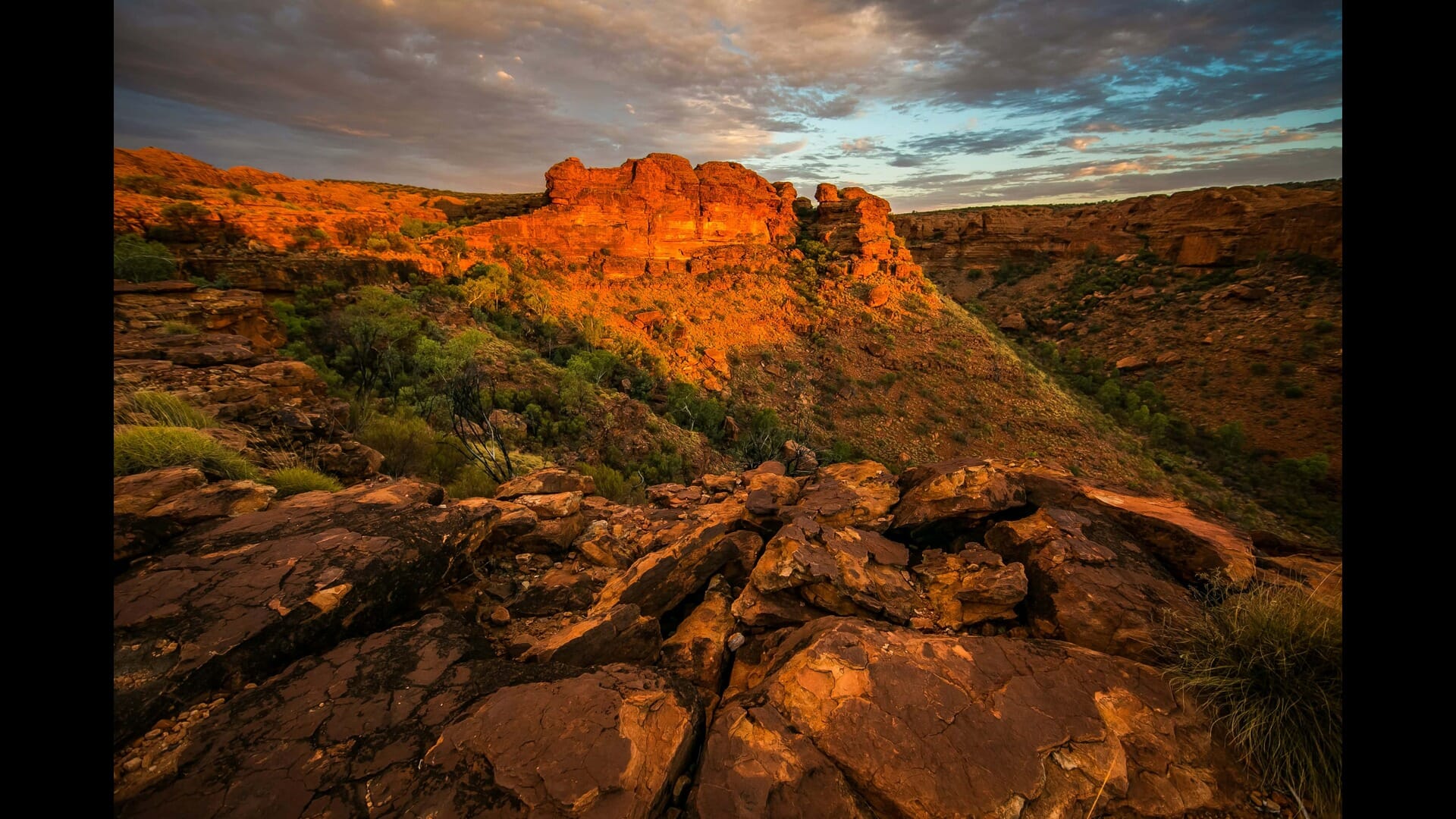 The Best Wine Regions in Australia: A Comprehensive Guide