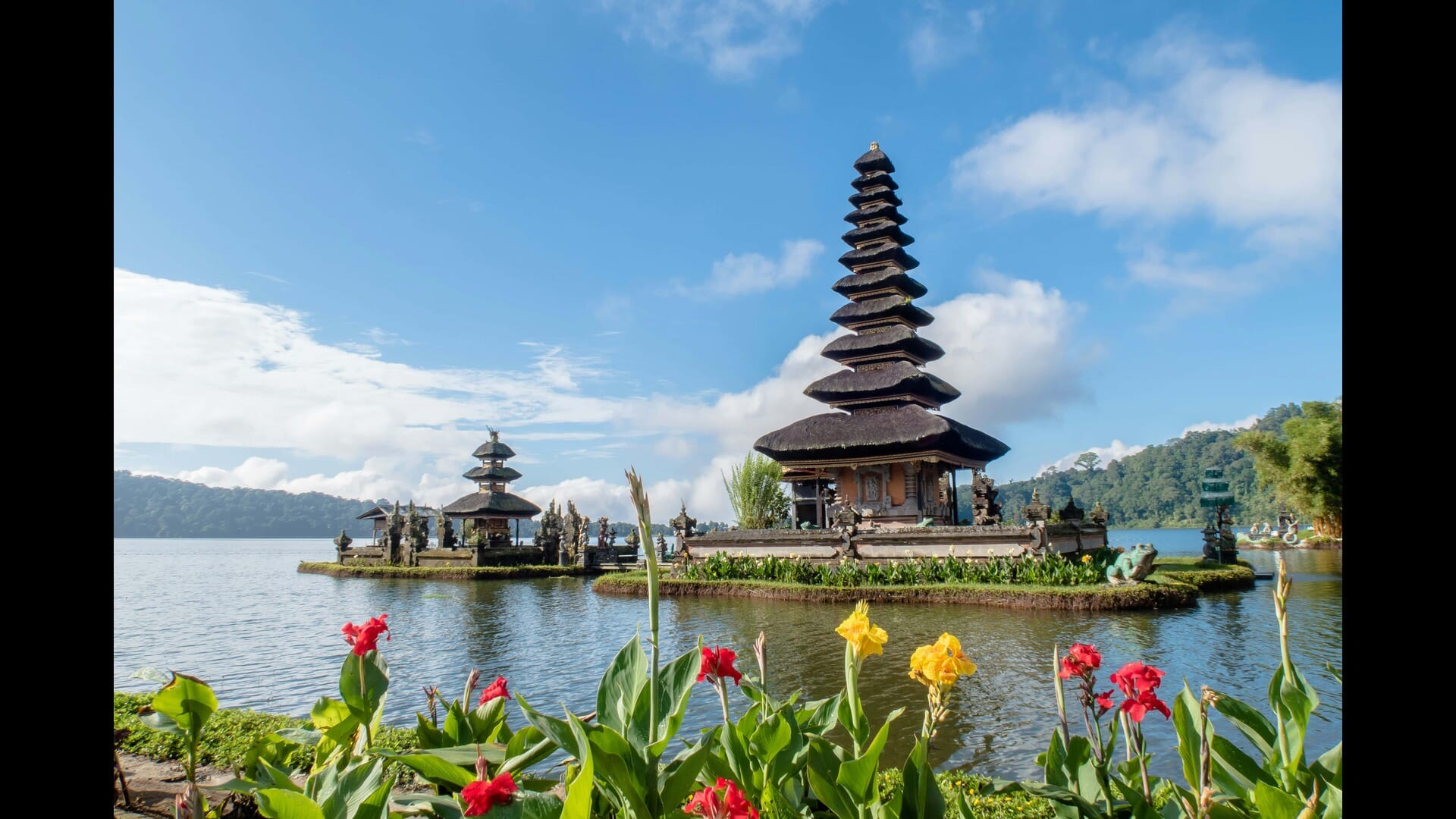 Bali’s Wildlife: A Guide to the Exotic Species