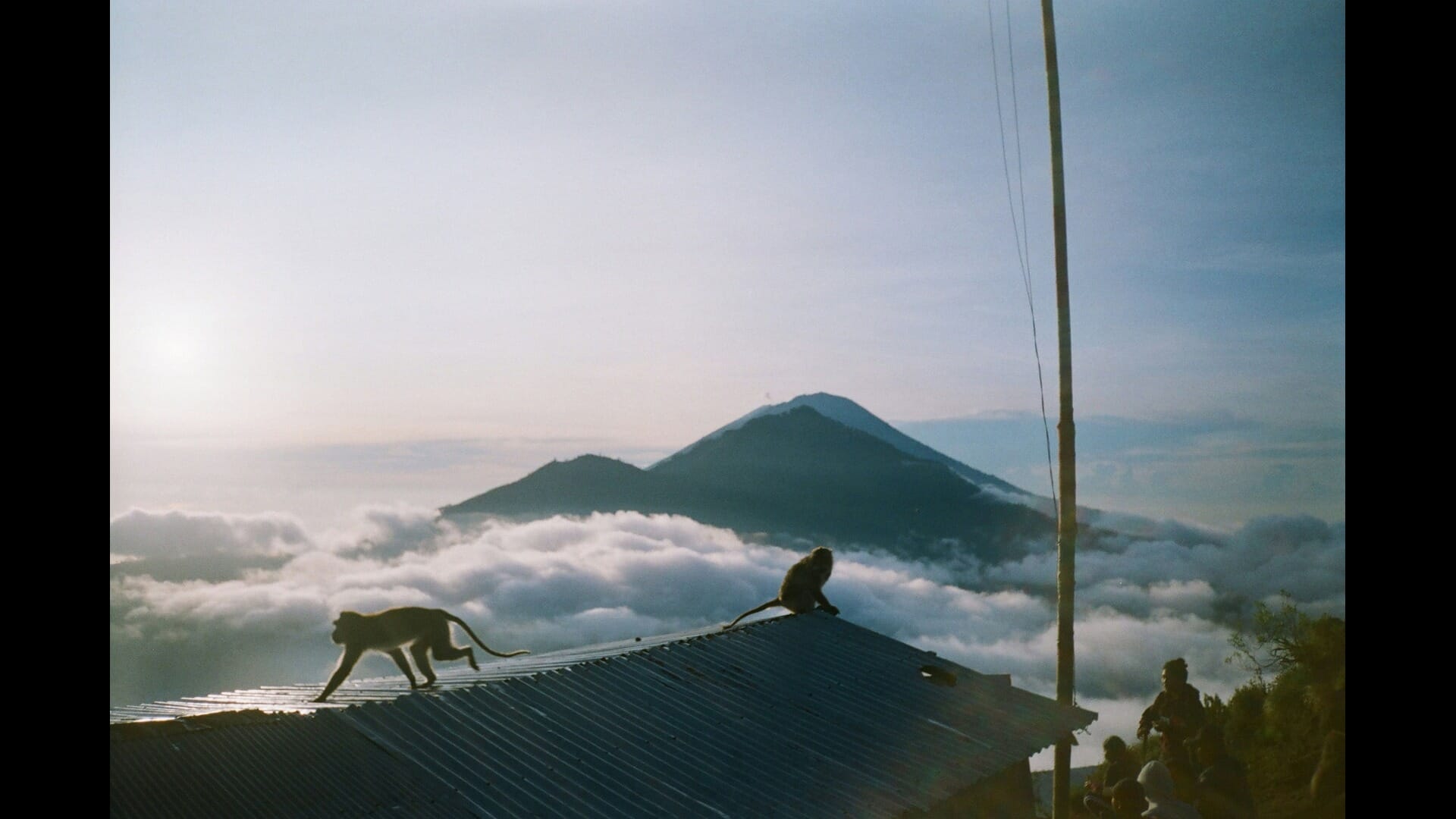 Exploring Thailand’s Coffee Plantations: A Journey Through Flavor and Culture
