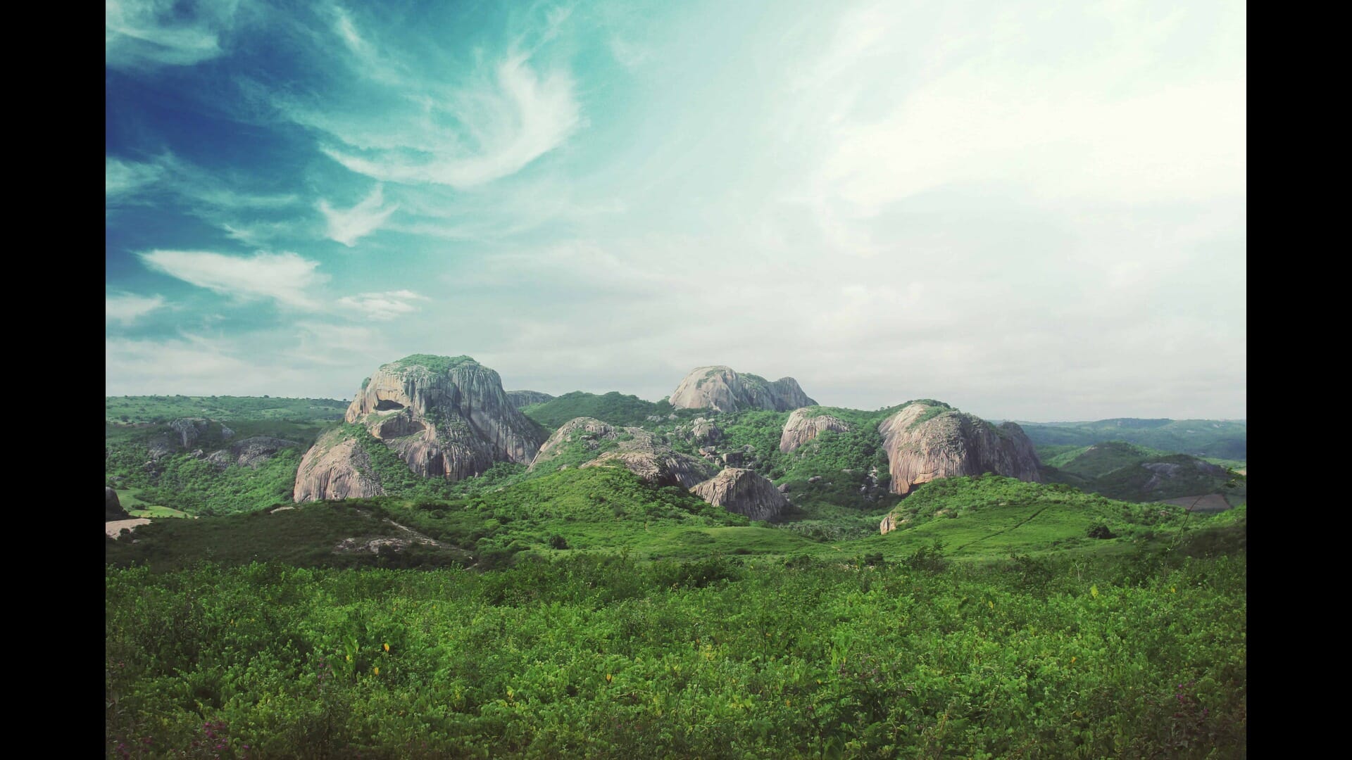 A Guide to the Best Local Markets in Brazil