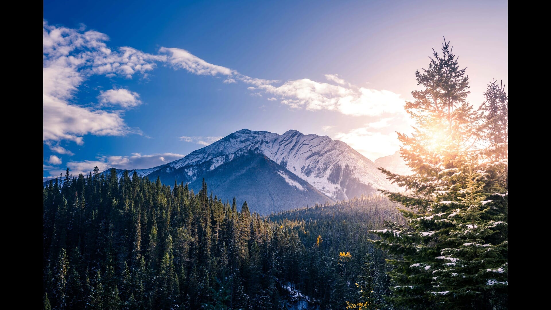 The Best Cultural Experiences in Canada’s Largest Cities