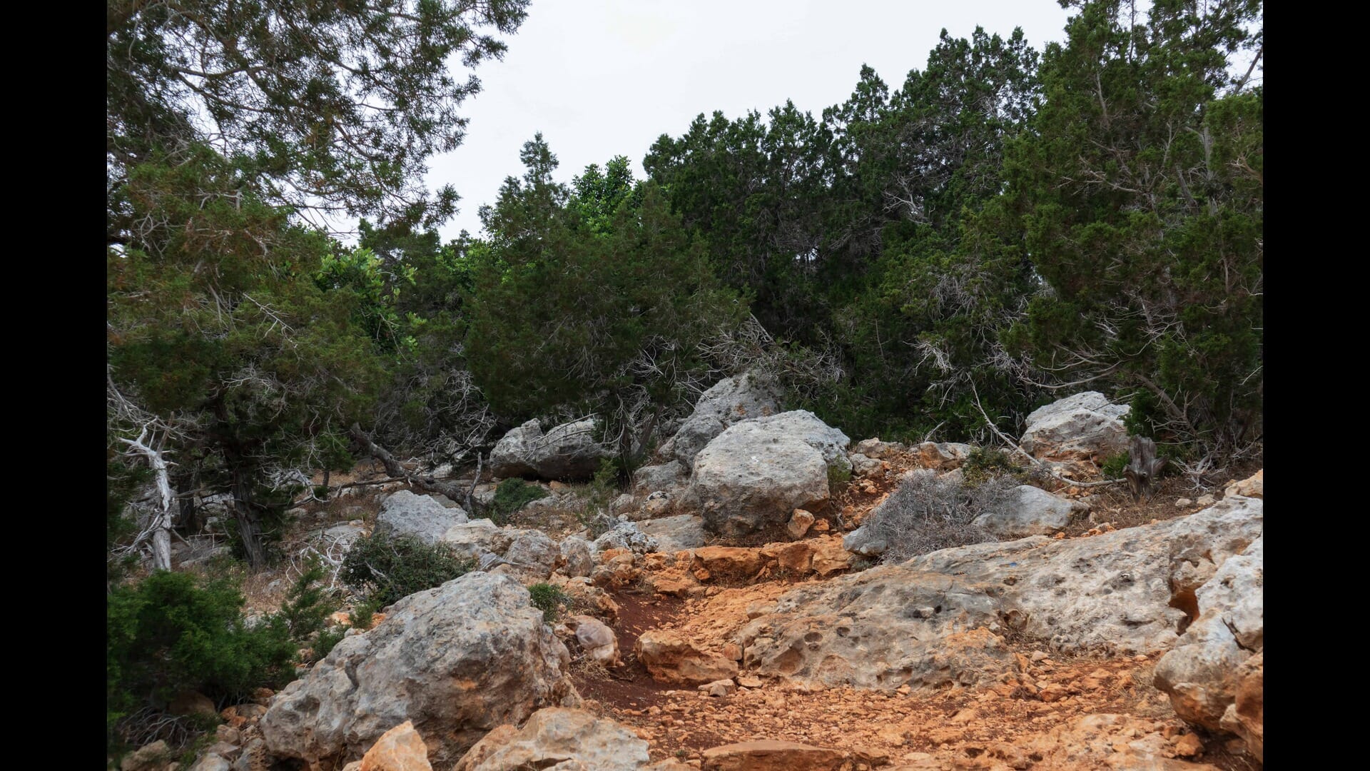 Exploring the Ancient Petroglyphs of Cyprus: A Journey Through Time