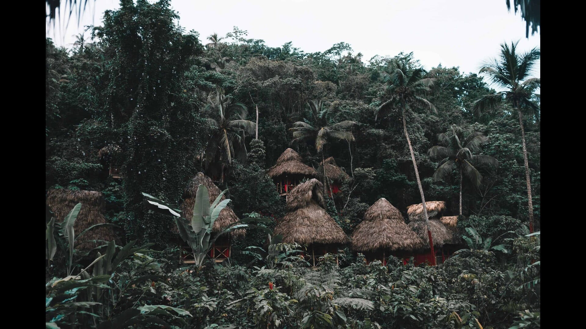 A Journey Through the Dominican Republic’s Agricultural Landscapes