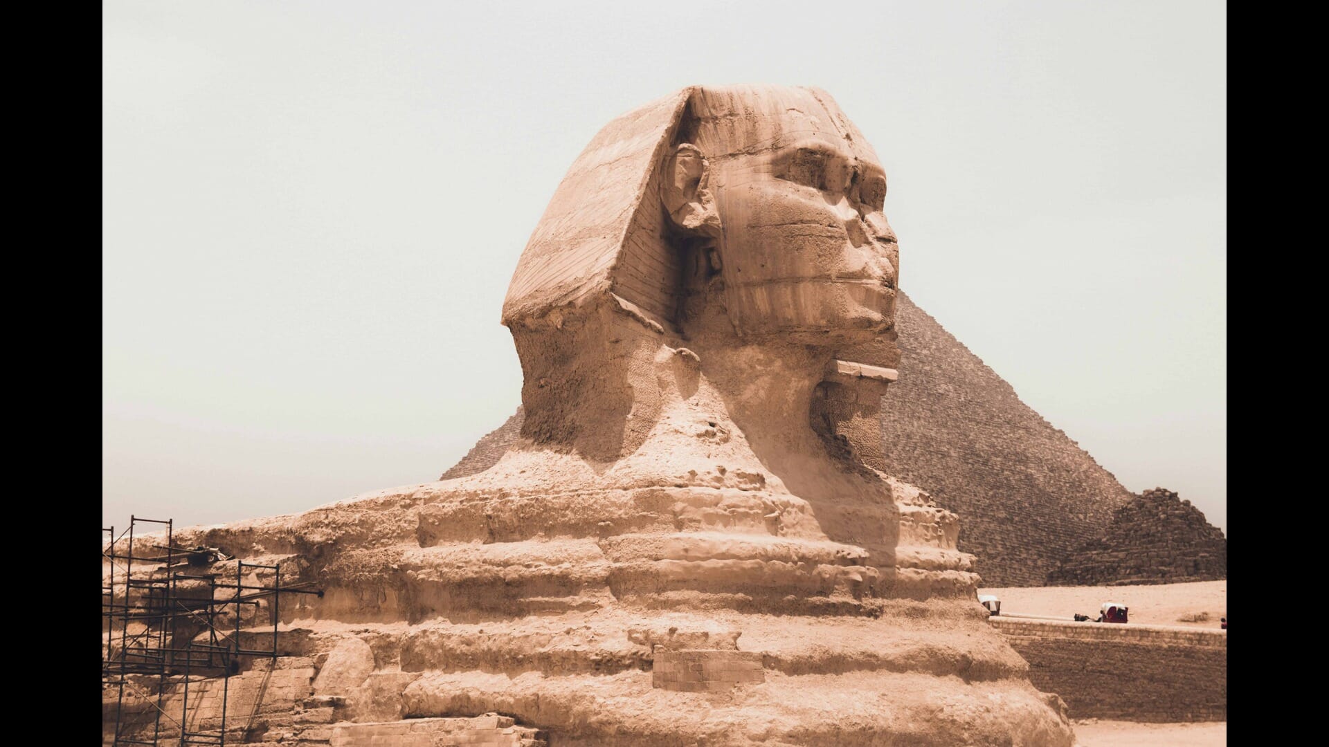 The Best Places for Traditional Egyptian Tea Experiences