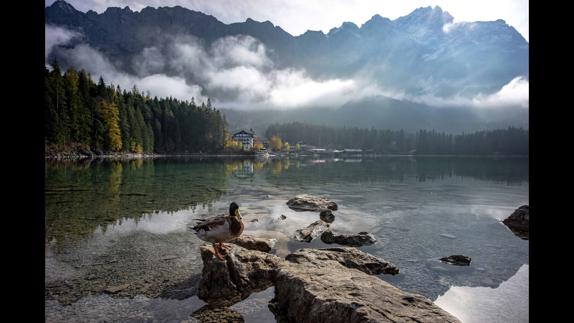 Visiting the Historic City of Regensburg: A Journey Through Time