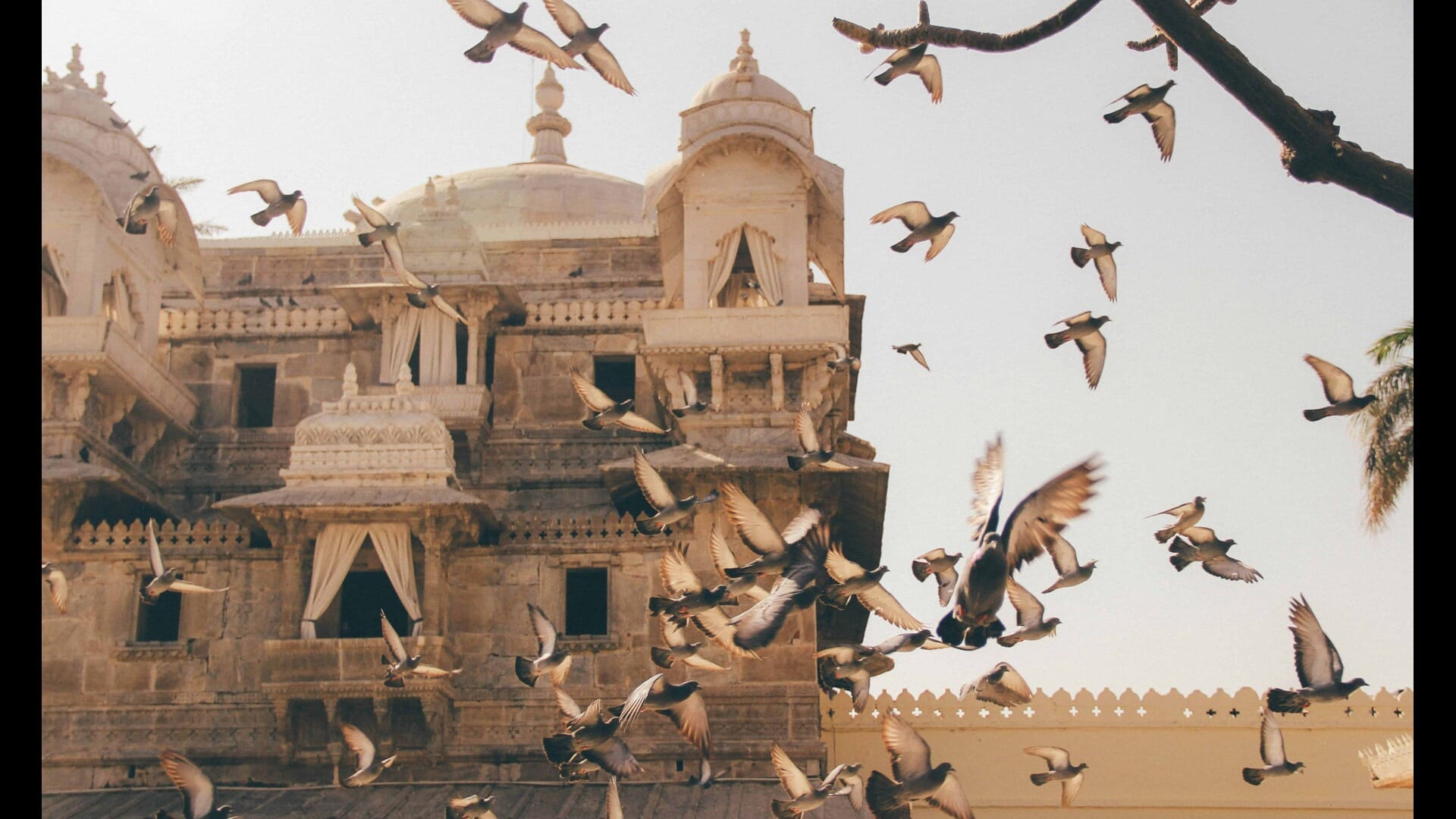 A Culinary Adventure: Sampling India’s Best Curries