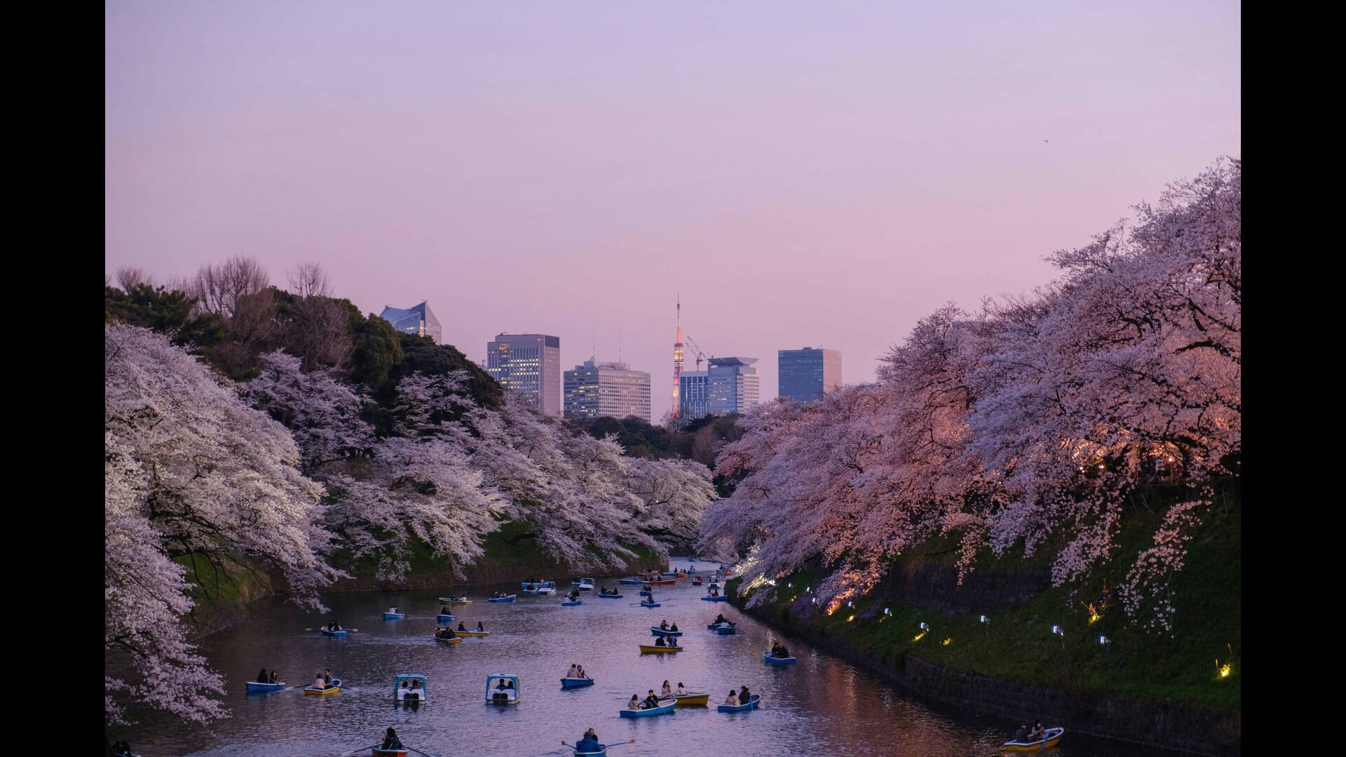 The Best Views of Tokyo: Observation Decks and Rooftops