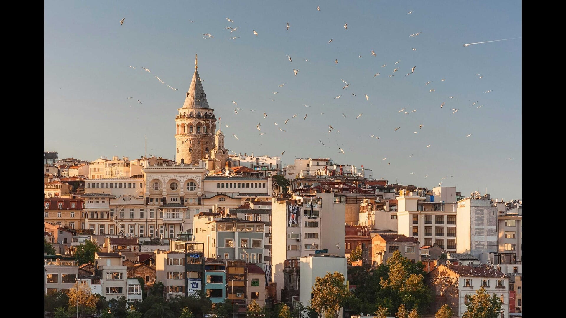 turkey-hero-image-blog-article-glooob